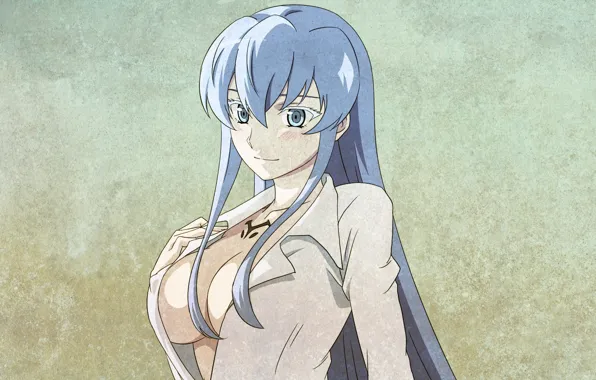 Girl, anime, shirt, anime, jaegers, Akame ga kill, akame GA kill, Esdeath
