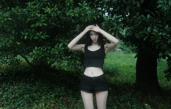 Picture trees, leaves, women, dark hair, standing, pierced navel, looking at viewer, bare midriff