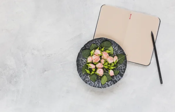 Roses, Notepad, pencil, buds