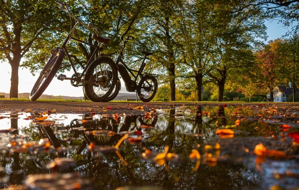 Picture autumn, leaves, trees, reflection, puddle, bikes