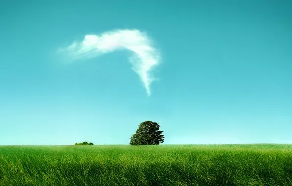 Clouds, tree, Field