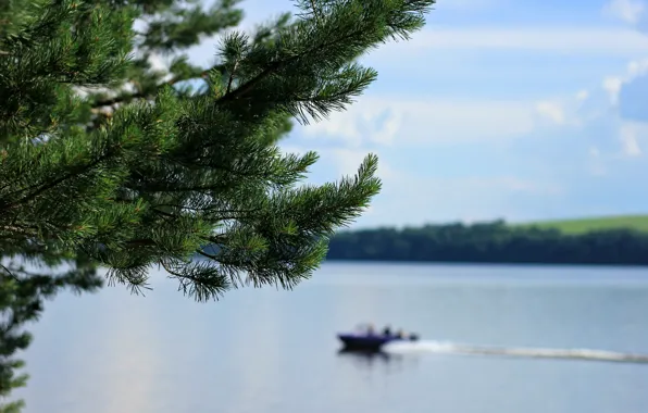 Summer, river, boat, focus