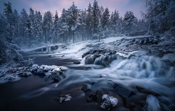 Winter, forest, trees, river, Norway, cascade, Norway, RINGERIKE