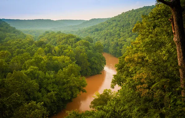 Picture greens, forest, trees, river, haze, USA, Mammoth Cave National Park