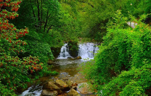 Picture Waterfall, Trees, Forest, Stones, Waterfall, Forest, Trees