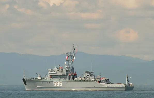 Basic, minesweeper, project 1265, the Yakhont cipher, BT-325