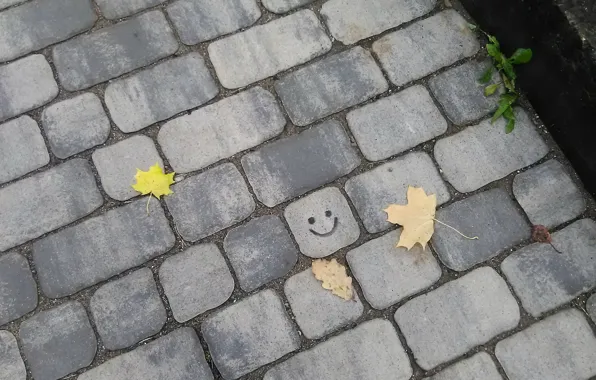 Pavers, smiley, autumn leaves