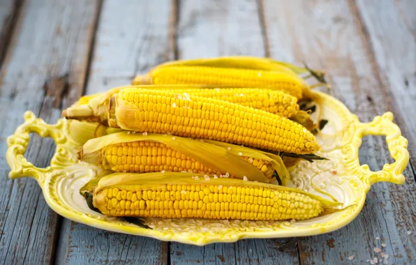 Picture yellow, background, widescreen, Wallpaper, food, corn, plate, wallpaper