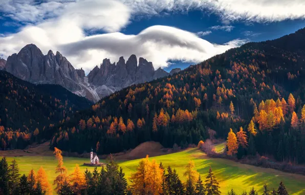 Picture autumn, forest, the sky, clouds, mountains, Alps
