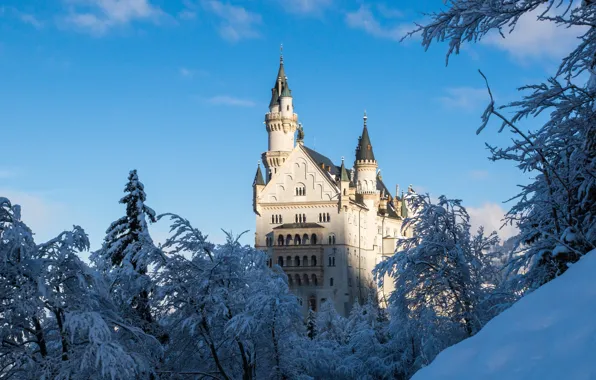 Picture winter, snow, castle, Germany, Neuschwanstein