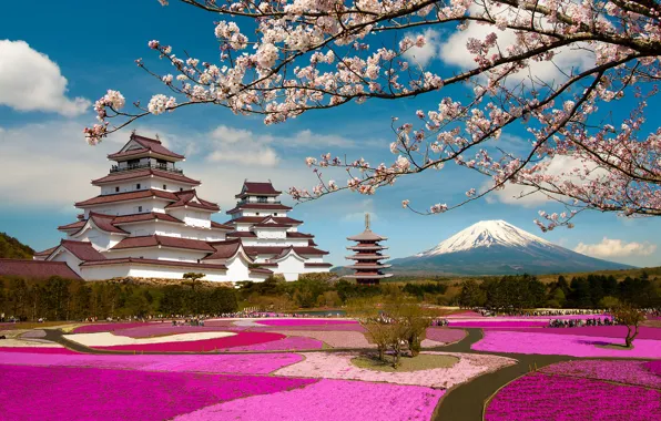 Picture branches, Park, castle, the volcano, Japan, Sakura, Japan, flowering