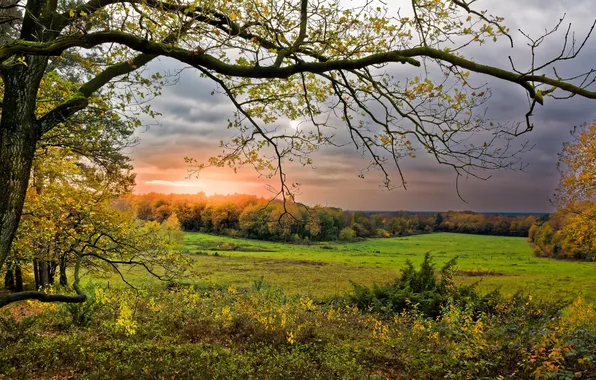 Autumn, sunset, nature
