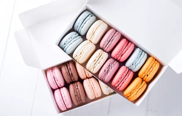 Picture colors, colorful, french, macaron, macaroon
