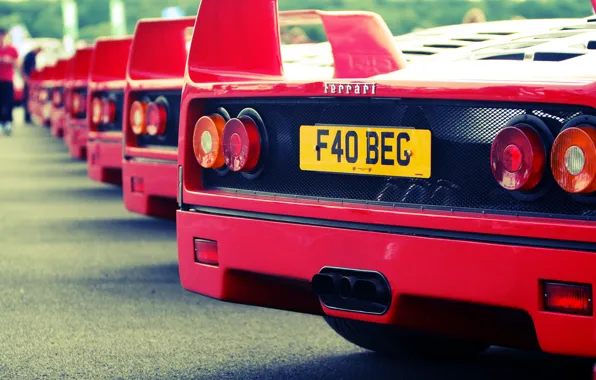 Red, Ferrari, red, Ferrari, back, f40, F40