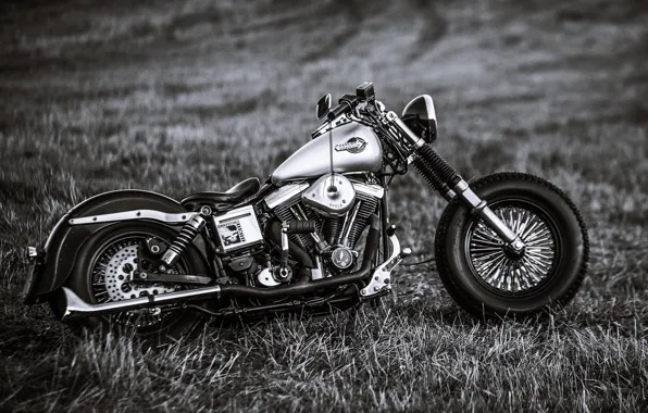 Harley Davidson 48 Wallpaper - Apps on Google Play