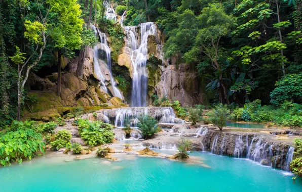 Forest, trees, stones, rocks, waterfall, Laos, Laos, Kouangxi Water Fall