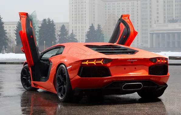 Picture building, orange, door, ate, rear view, Lamborghini, lamborghini lp700-4 aventador, aventador лп700-4