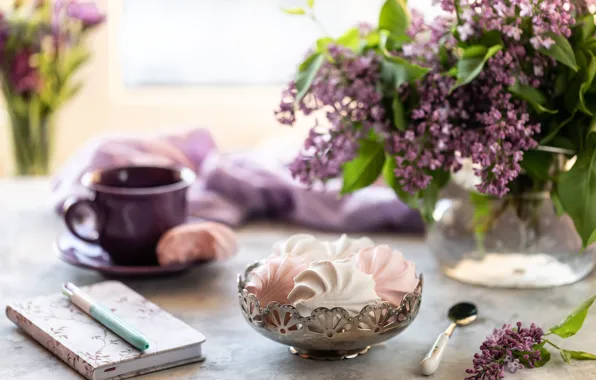 Flowers, Cup, vase, still life, marshmallows, Karina Klachuk