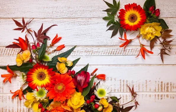 Autumn, leaves, flowers, wood, flowers, autumn, leaves, composition