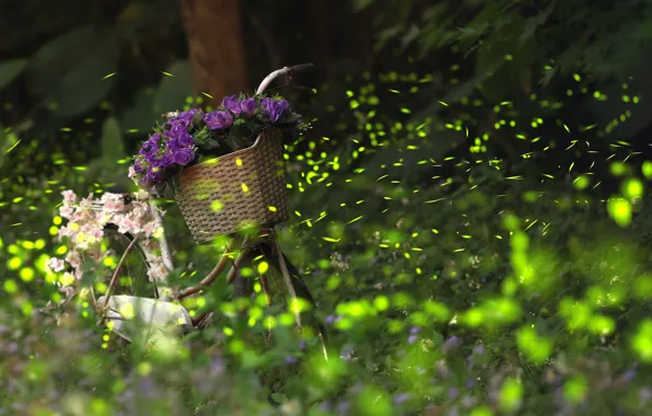 Picture greens, purple, flowers, nature, bike, Park, roses, bouquet
