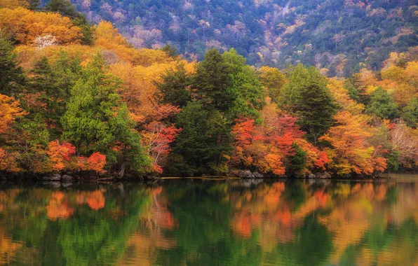 Picture autumn, forest, trees, lake, Japan, Sic Chiu, Lake Chūzenji