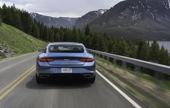 Coupe, Bentley, Continental, Bentley, coupe, hybrid, hybrid, Suite