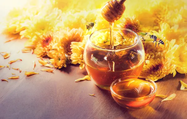 Picture flowers, honey, chrysanthemum