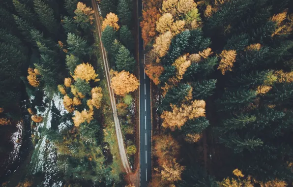 Autumn, forest, nature, road, the view from the top