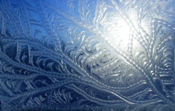 Picture winter, the sun, pattern, window, Frost