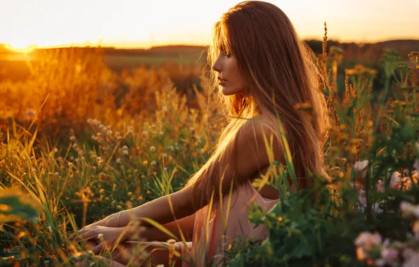 Field, grass, girl, sunset, model, portrait, light, summer
