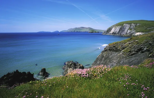 The sky, flowers, the ocean, rocks, Ireland, Ireland, Slea Head, Island Blasket