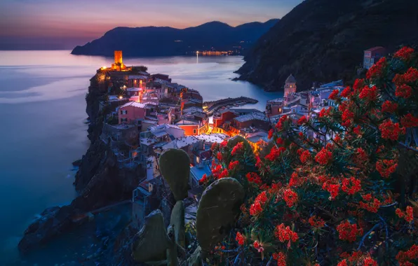 Sea, flowers, mountains, night, the city, lights, shore, building