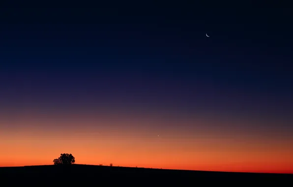 Picture sunset, The moon, Venus