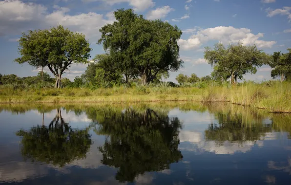 Picture clouds, trees, lake, reflection