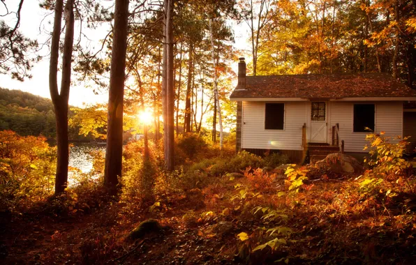 Picture autumn, forest, the sun, trees, landscape, sunset, Villa, home