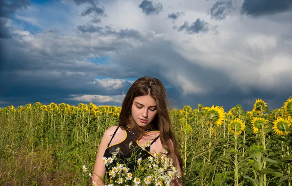 Wallpaper pose, Valentine Shepitko, nature, chamomile, girl, the sky, sunflowers