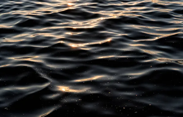 Sea, wave, ruffle, twilight