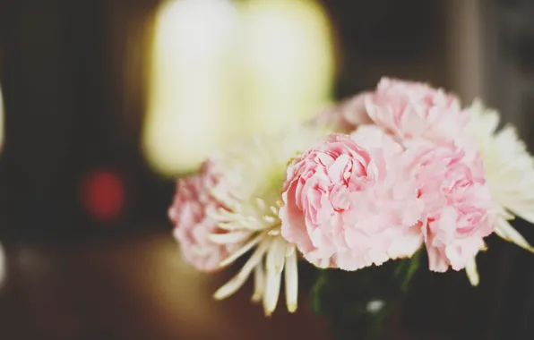 Picture flowers, peonies, asters