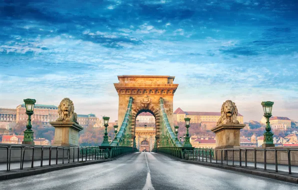 Picture summer, the city, blur, bokeh, view, Hungary, Hungary, suspension bridge