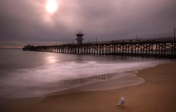 Sea, the sky, clouds, bird, hdr, pierce, USA, California
