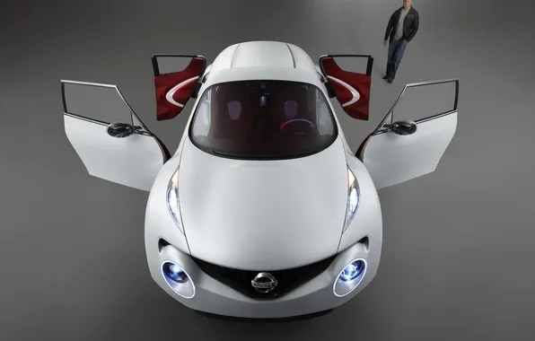 Concept, Nissan, Nissan, Win, the concept car, 2009, Nissan Qazana Concept