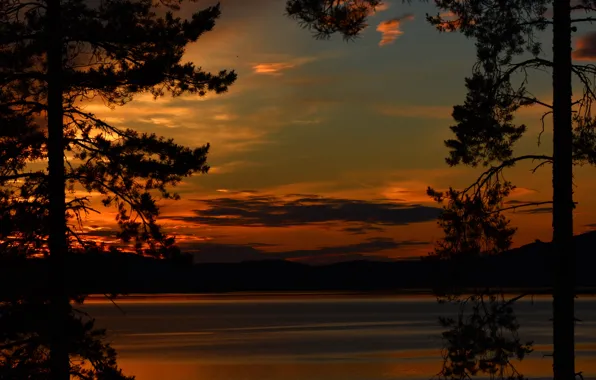 Trees, sunset, river, shore, silhouettes