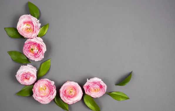 Flowers, Pink, pink, flowers, decor