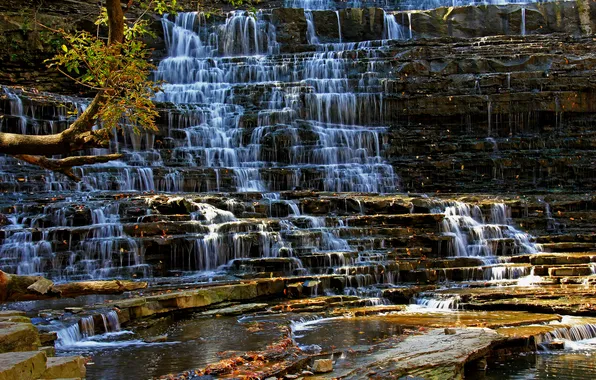 Autumn, forest, river, stream, rocks, waterfall, cascade