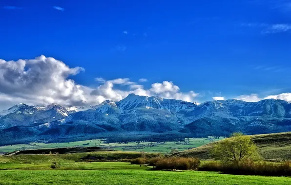 The sky, grass, clouds, trees, mountains, valley