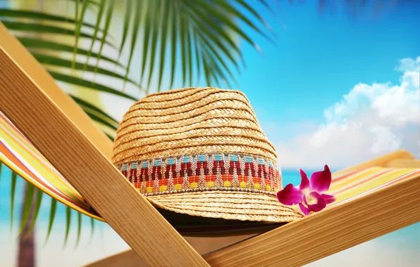 Picture beach, flower, hat, chair