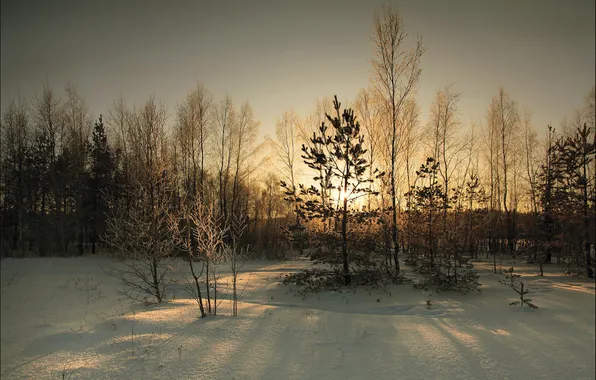 Winter, snow, landscape, sunset, the evening, twilight