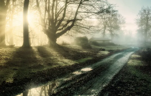 Road, light, morning