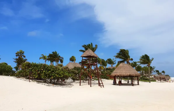 Sand, beach, palm trees, the ocean, vacation, exotic, beach, Мexico