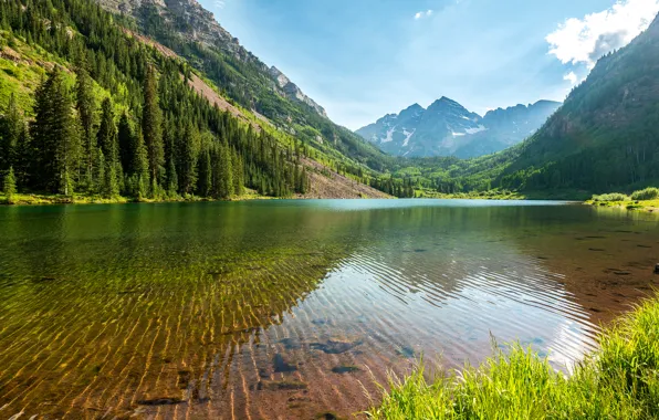 Forest, the sky, water, transparency, trees, mountains, lake